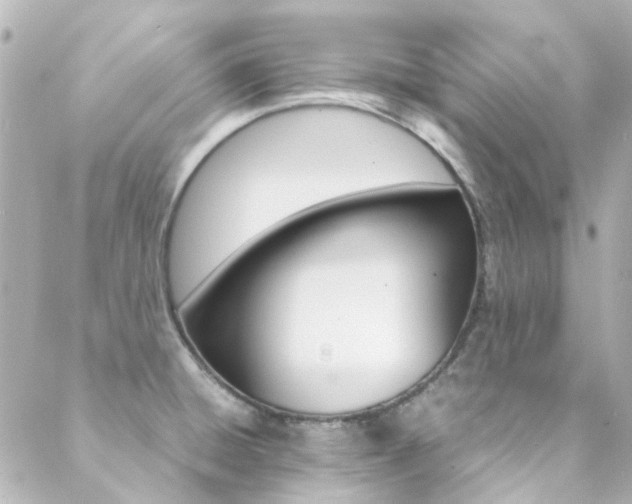 X0000089411428200706150928