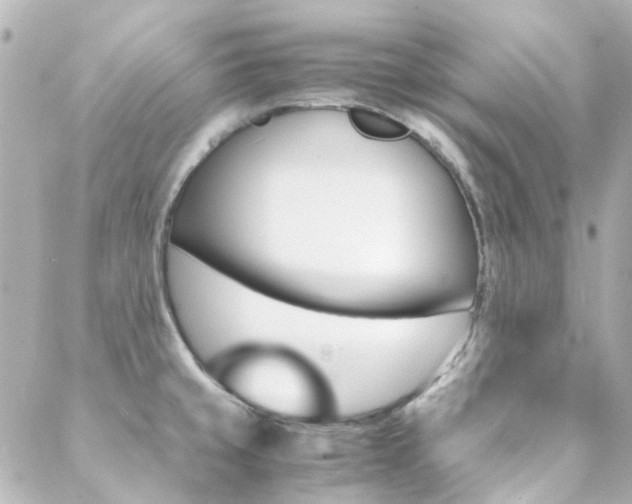 X0000089411429200706150928