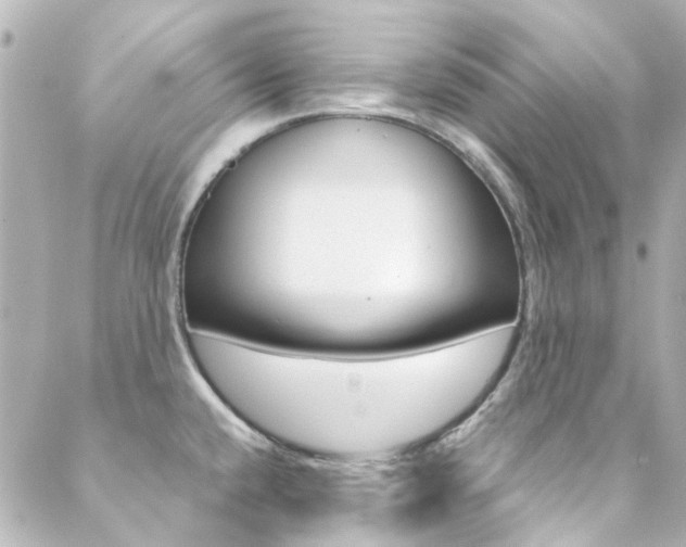 X0000089411432200706150928