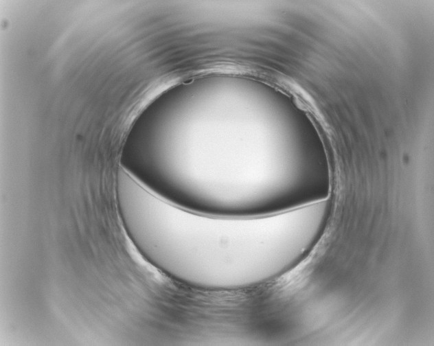 X0000089411433200706150928