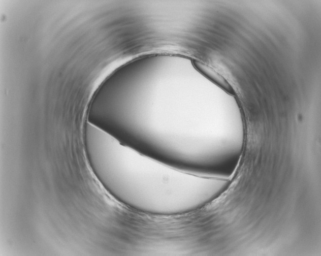 X0000089411436200706150928