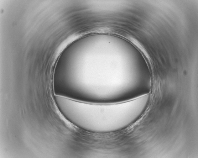 X0000089411437200706150928