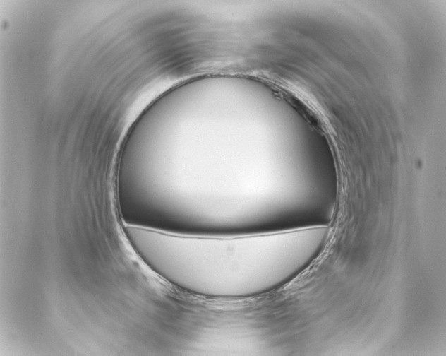 X0000089411440200706150928