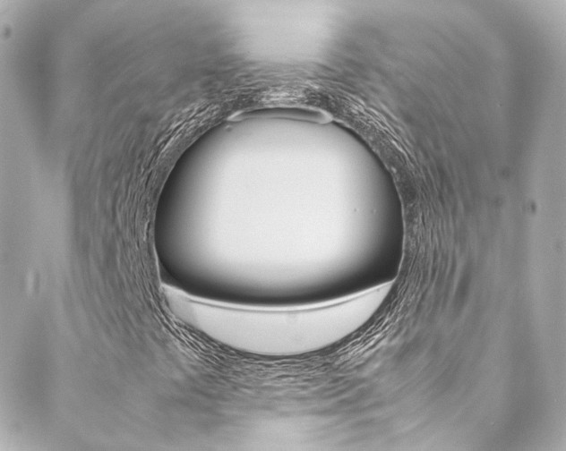 X0000089411441200706150928