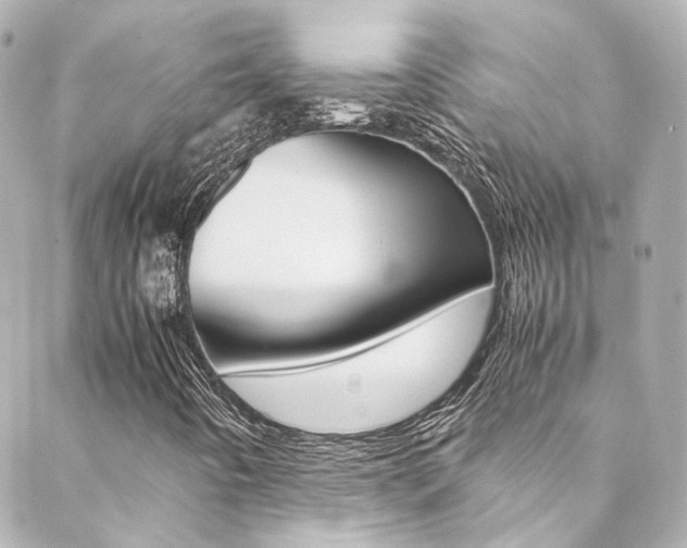 X0000089411442200706150928