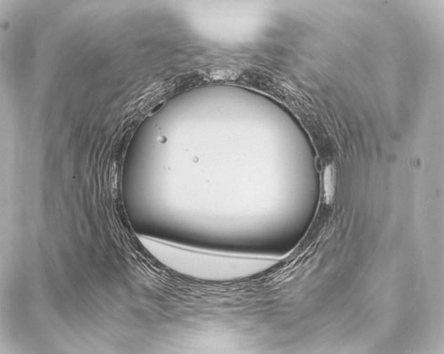 X0000089411443200706150928
