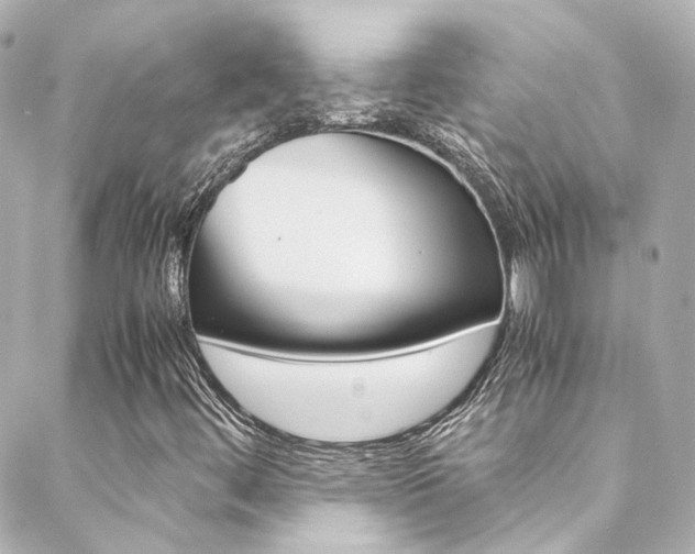 X0000089411444200706150928