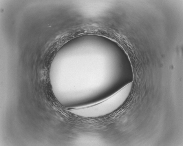 X0000089411445200706150928