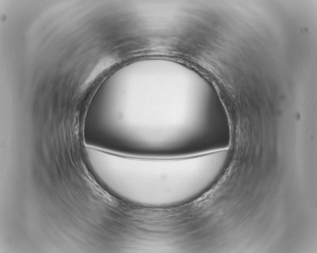 X0000089411450200706150927