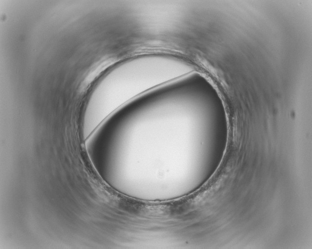 X0000089411453200706150927