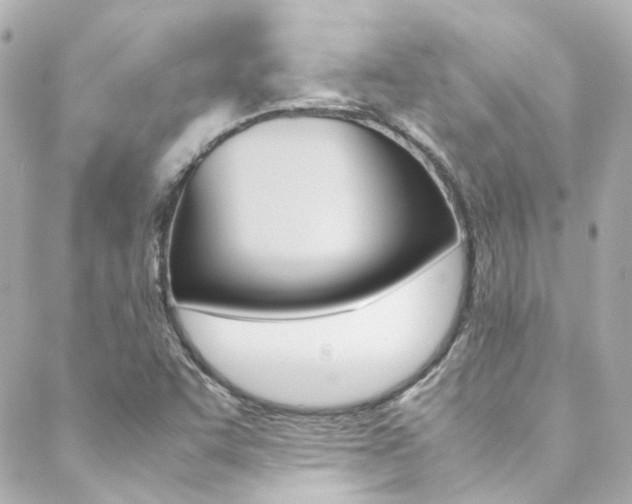 X0000089411455200706150927
