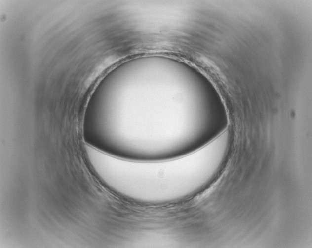 X0000089411457200706150927