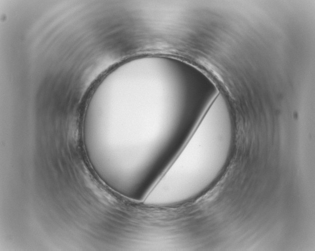 X0000089411458200706150927