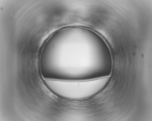 X0000089411460200706150927