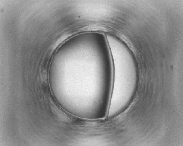 X0000089411465200706150927