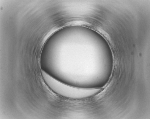X0000089411473200706150927