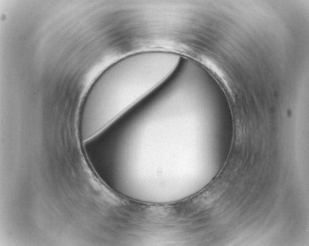 X0000089411480200706150927