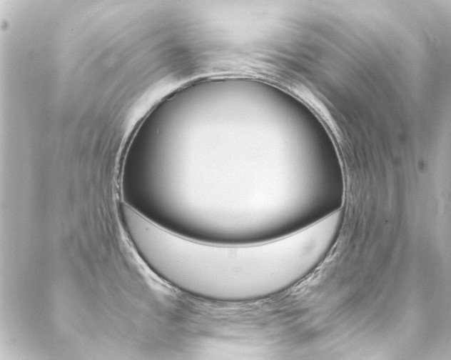 X0000089411485200706150927