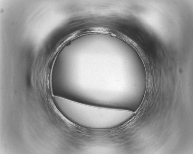 X0000089411487200706150927