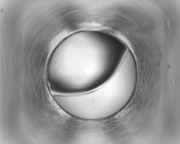 X0000089411488200706150927