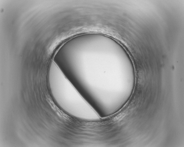 X0000089411499200706150926
