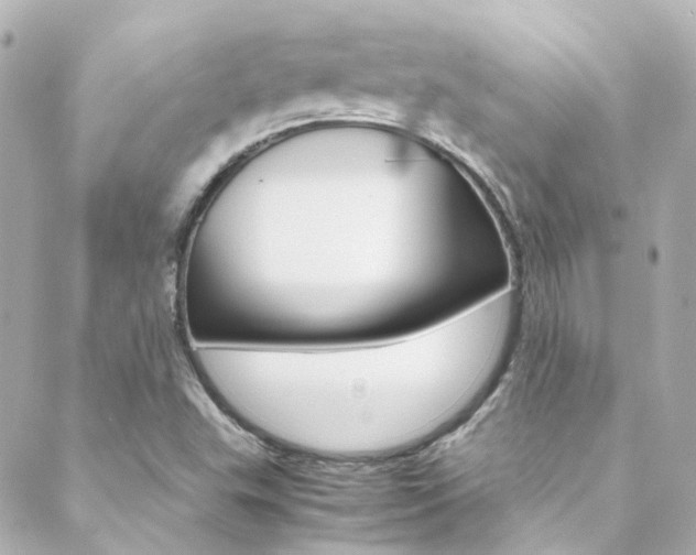 X0000089411503200706150926