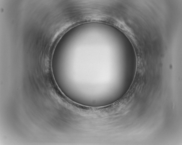 X0000089410012200706151303