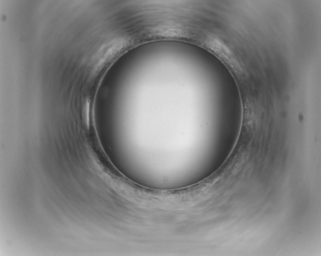 X0000089410014200706151303