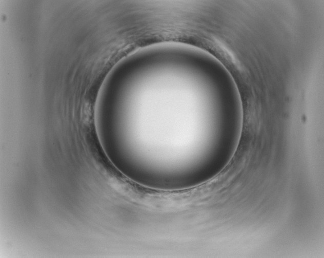 X0000089410025200706151303