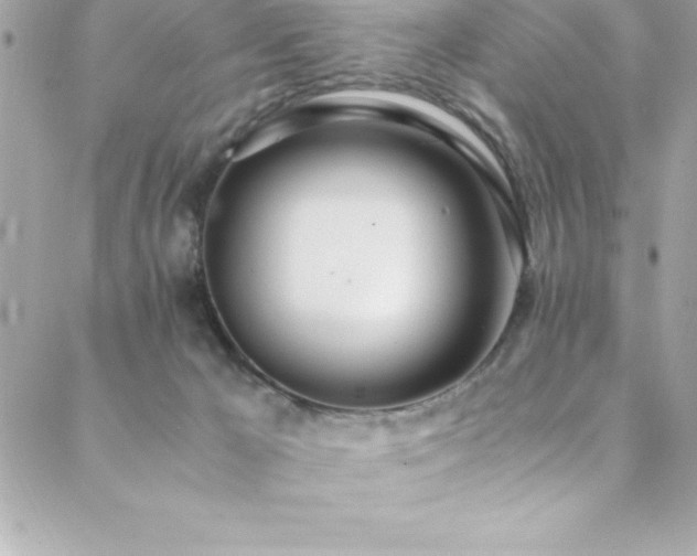 X0000089410029200706151303