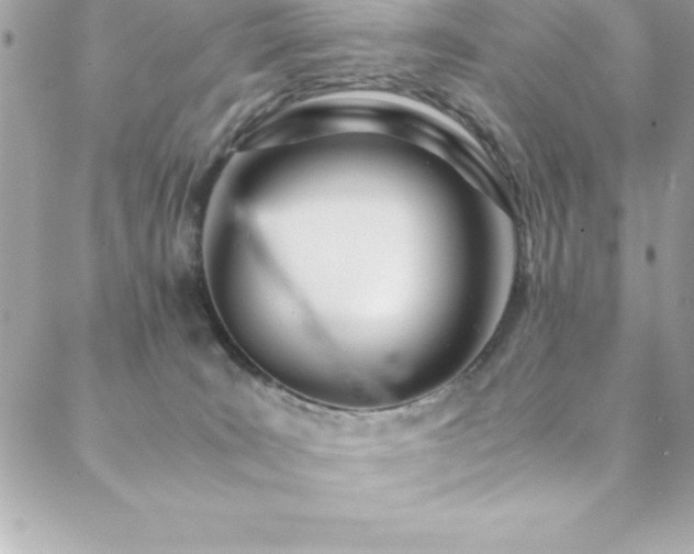 X0000089410035200706151302