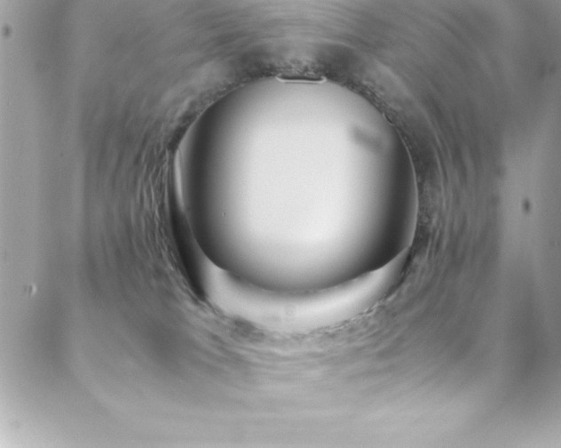 X0000089410037200706151302