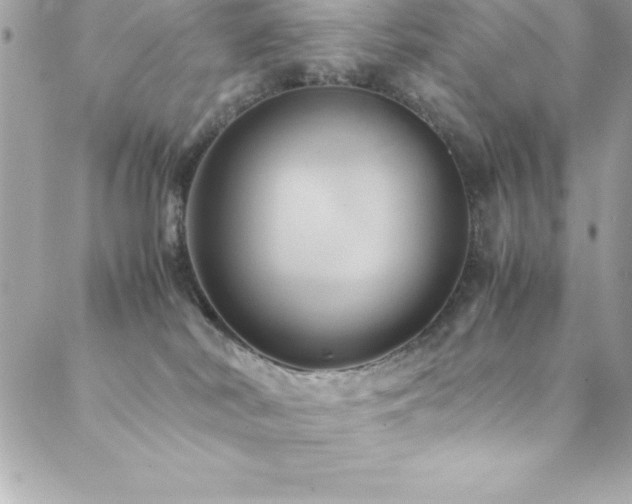 X0000089410038200706151302