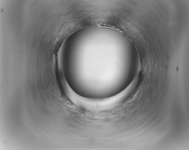 X0000089410041200706151302