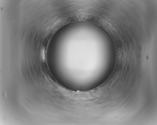 X0000089410042200706151302