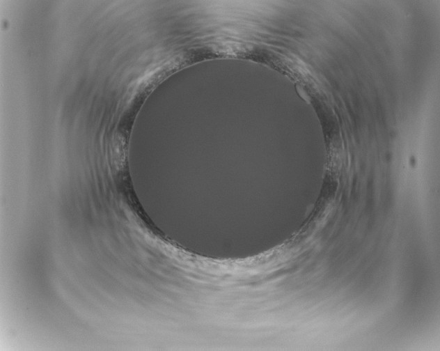 X0000089410043200706151302