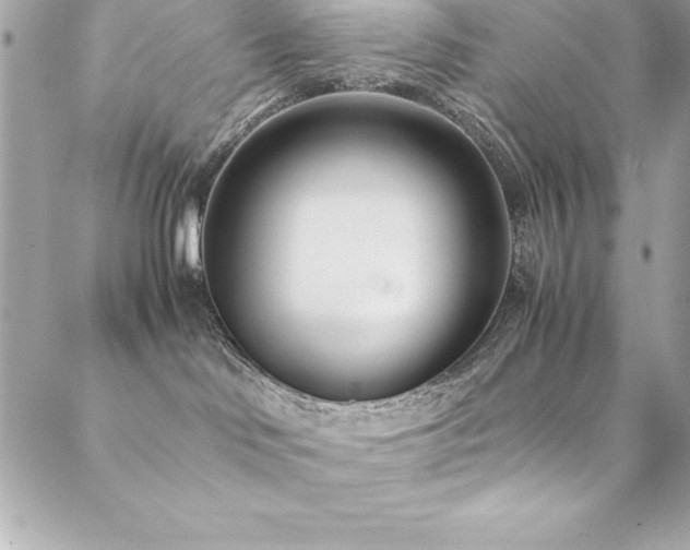 X0000089410046200706151302