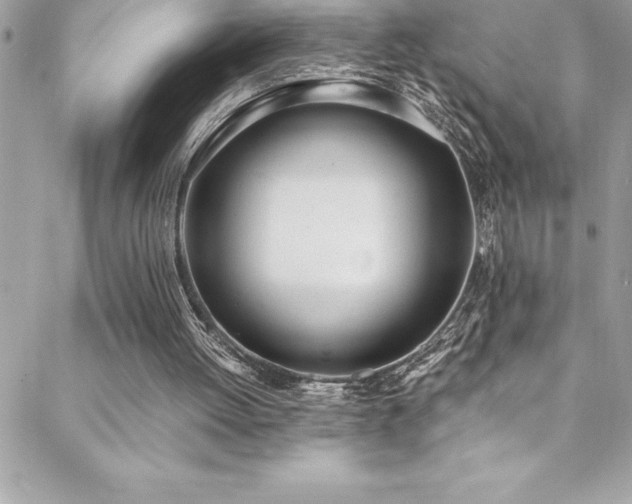 X0000089410052200706151302