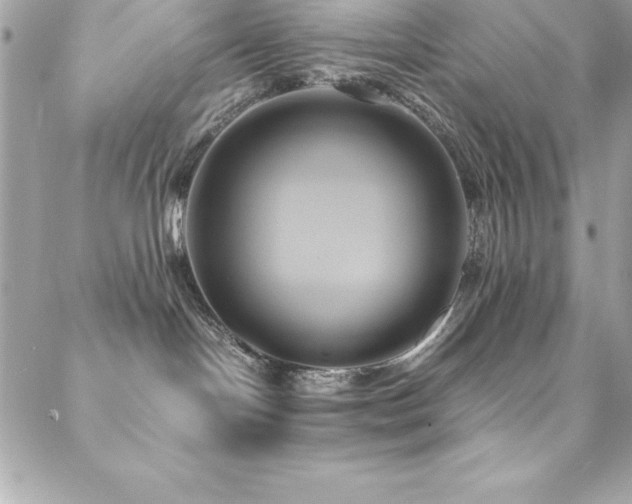 X0000089410094200706151302