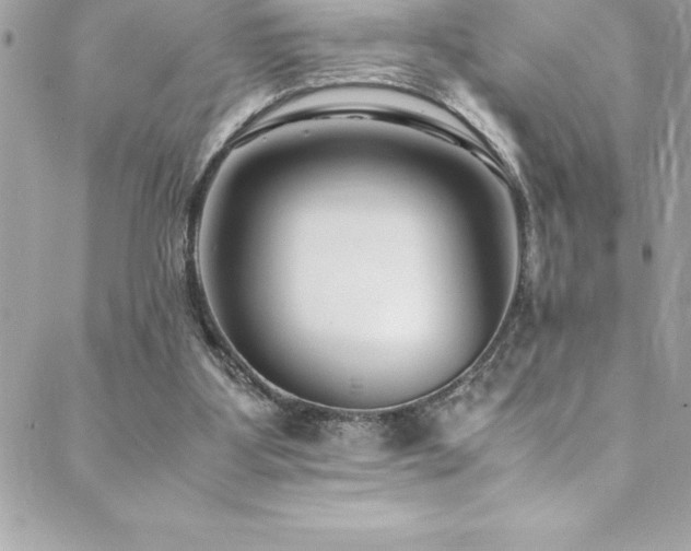 X0000089410107200706151301