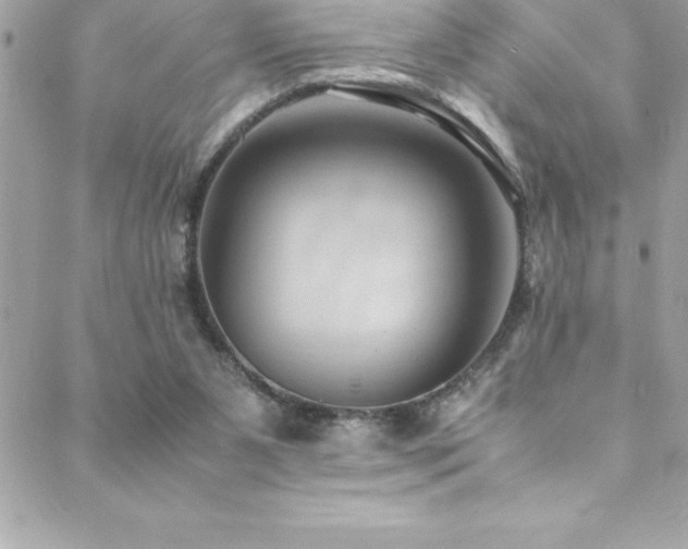 X0000089410111200706151301