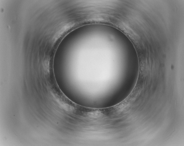 X0000089410112200706151301