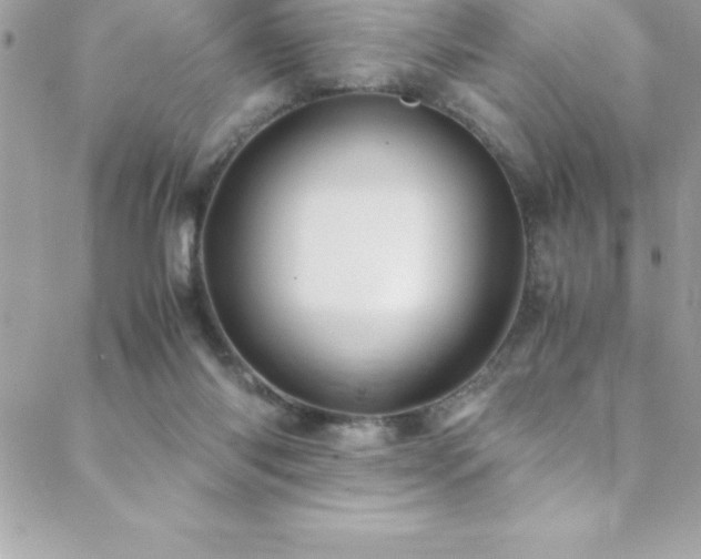 X0000089410118200706151301