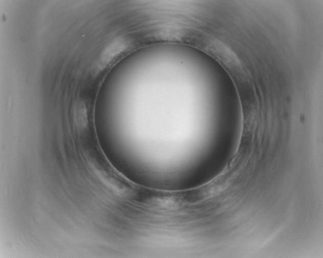 X0000089410120200706151301