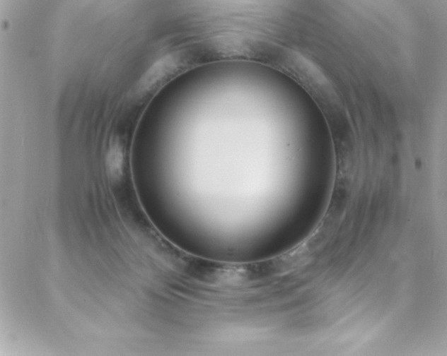 X0000089410124200706151301