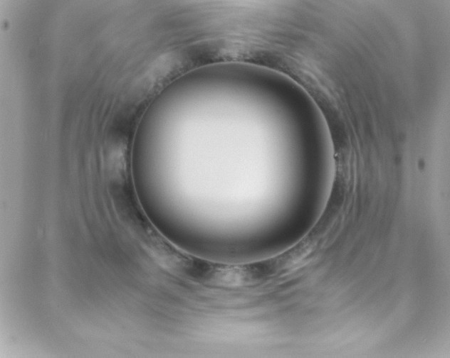 X0000089410127200706151301