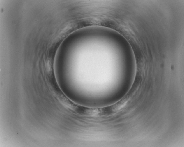 X0000089410131200706151301