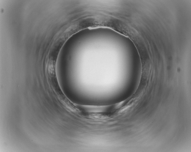 X0000089410137200706151301