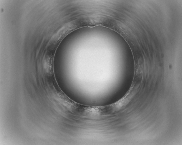 X0000089410140200706151301