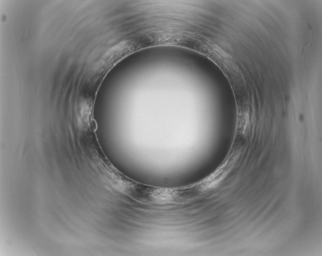 X0000089410142200706151301